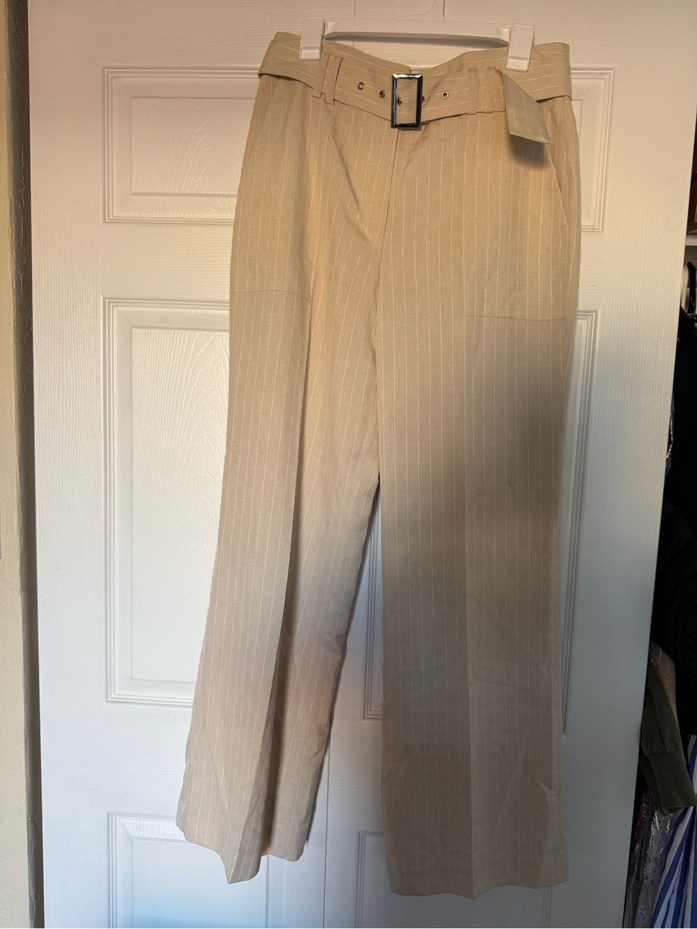Elie Tahari Beige Pinstripe Dress Pants with Belt
